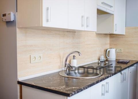 Apartment studіo Lviv hollidays, Lviv - apartment by the day