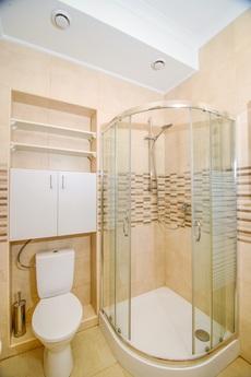 Apartment studіo Lviv hollidays, Lviv - apartment by the day