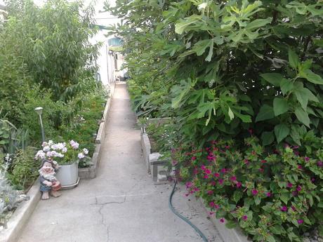Rent a room for rent, area Musketeers, Sevastopol - apartment by the day