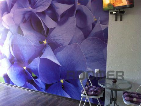 Studio apartment on the second floor of a private house in K