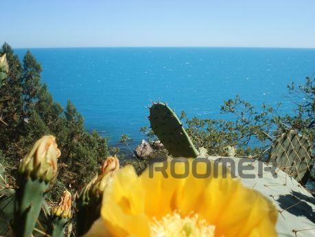 Rent detached house in Kastropol (District Foros)! Located a
