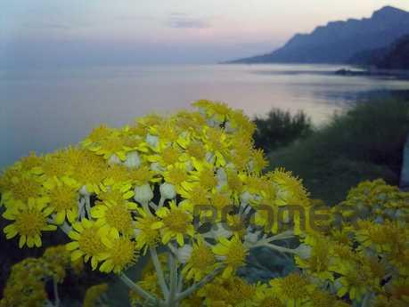 Detached house in Kastropol!, Yalta - apartment by the day