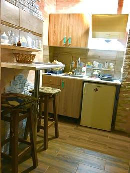 Calm apartment in a private house, Lviv - apartment by the day