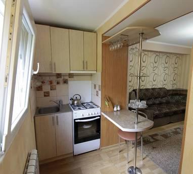 2 BR apartment, Mykolaiv - apartment by the day