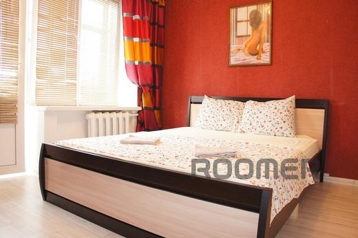 Clean, large, comfortable apartment with a fresh renovation 