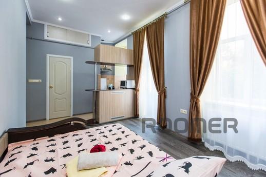 Romantic Studio in the center for two, Lviv - apartment by the day