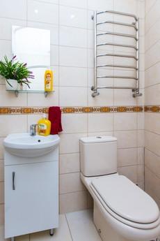 Romantic Studio in the center for two, Lviv - apartment by the day
