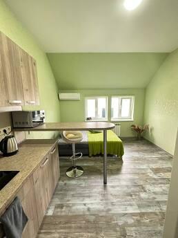 Cozy renovated apartment in the very center of Kharkov, near