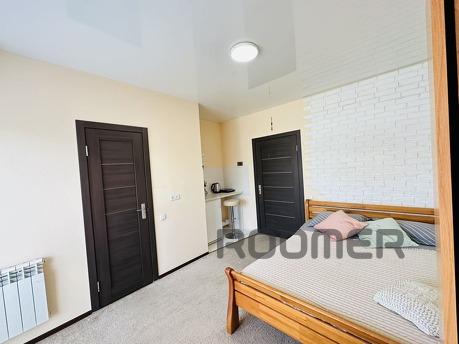 Own, real 1k studio with cent renovation, Kharkiv - apartment by the day