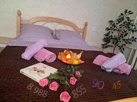 One-room apartment overlooking the park, in the resort area 