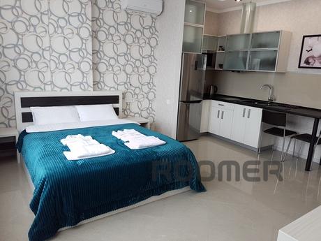 This stylish apartment includes a bedroom, combined with liv