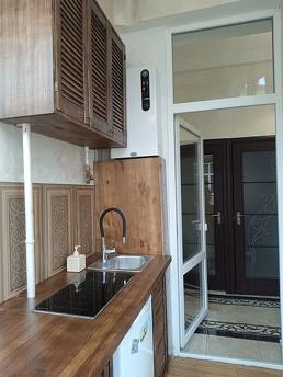 Similar rental of a one-room apartment, Chernivtsi - apartment by the day