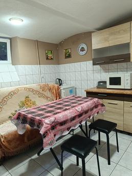 Similar rental of a two-room apartment, Chernivtsi - apartment by the day