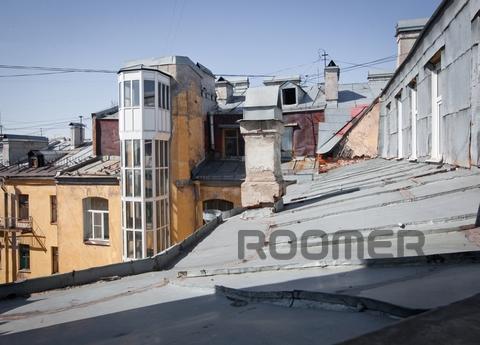 Studio overlooking the rooftops in the h, Saint Petersburg - apartment by the day