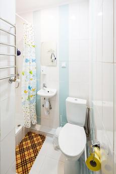 The apartment is spacious and cozy., Lviv - apartment by the day
