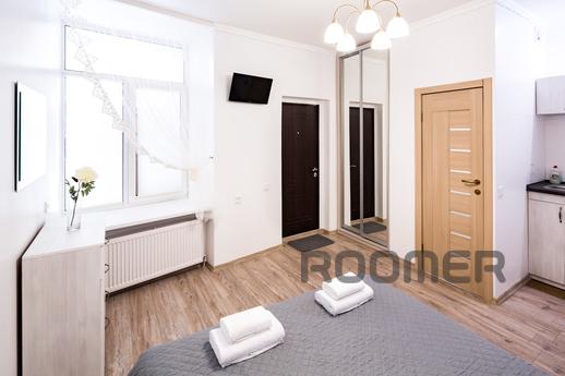 The apartment is spacious and cozy., Lviv - apartment by the day