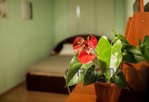 Daily , Moscow - apartment by the day