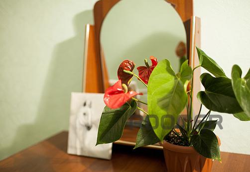 Daily , Moscow - apartment by the day