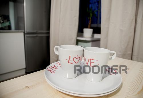 Daily Ladoga, 13, Moscow - apartment by the day
