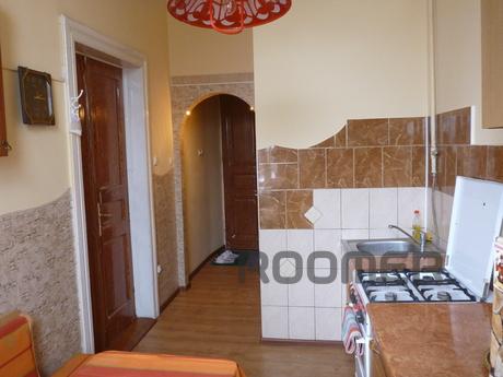Apartment near Opera House,Wi-Fi!, Lviv - apartment by the day