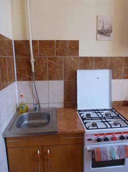 Apartment near Opera House,Wi-Fi!, Lviv - apartment by the day