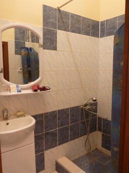 Apartment near Opera House,Wi-Fi!, Lviv - apartment by the day
