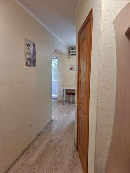 I'm renting a similar apartment near Chornomorsku, Chernomorsk (Illichivsk) - apartment by the day