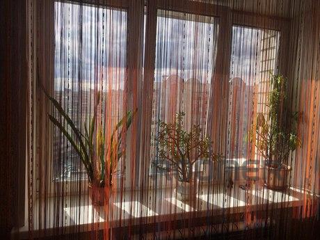 Cozy studio (Med. Academy, TC 'Maxi, Smolensk - apartment by the day