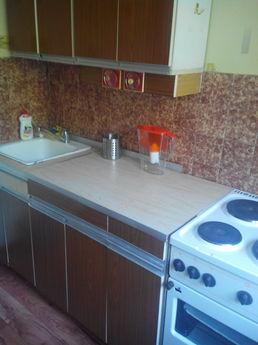quiet apartment in the center, Novosibirsk - apartment by the day