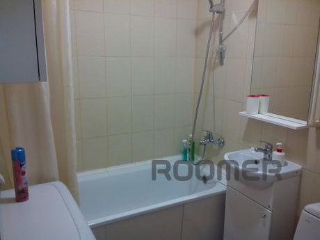 comfortable apartment in the center, Novosibirsk - apartment by the day