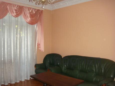 Cozy, comfortable lounge, a large studio apartment, all amen