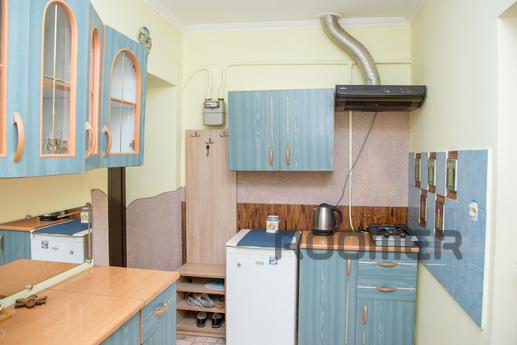 Cozy, one-bedroom apartment for rent., Lviv - apartment by the day