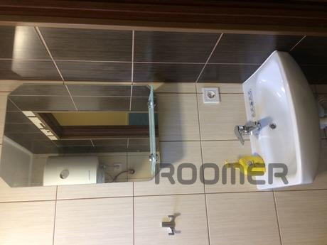Cozy, one-bedroom apartment for rent., Lviv - apartment by the day