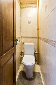 Daily earthen shaft 52/16 building 3, Moscow - apartment by the day