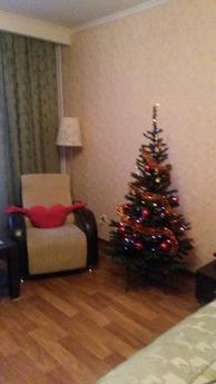 One bedroom apartment in Yekaterinburg, Yekaterinburg - apartment by the day