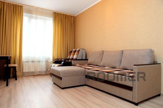 Spacious apartment located in a 10-minute walk from the metr