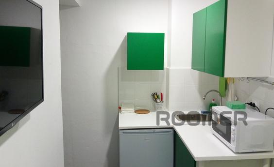 1 bedroom apartment for rent, Saint Petersburg - apartment by the day